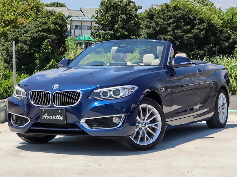 220iカブリオレ ラグジュアリー